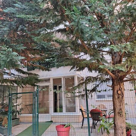 Apartments Vanja Budva Ngoại thất bức ảnh